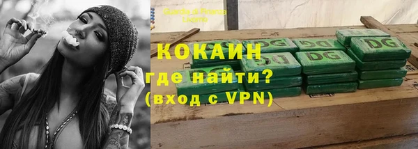 сатива Арсеньев