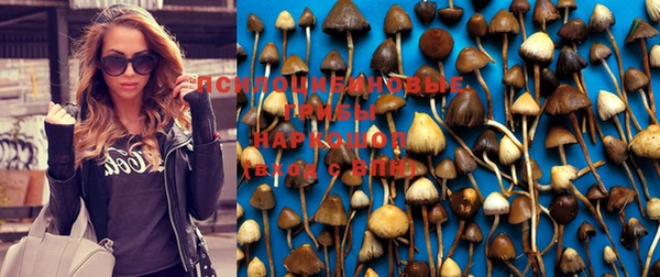 индика Россошь
