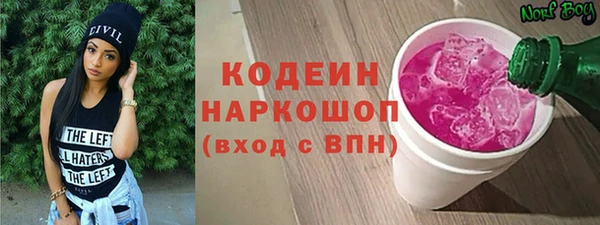 сатива Арсеньев