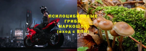 гашишное масло Аркадак