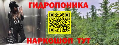 сатива Брянск