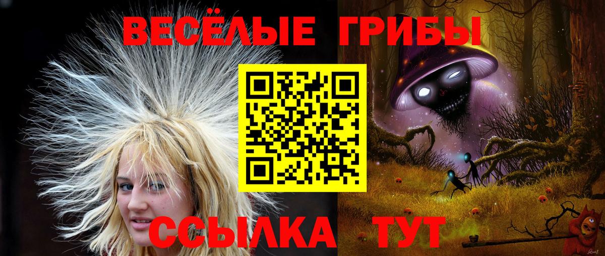 Галлюциногенные грибы мицелий Асбест